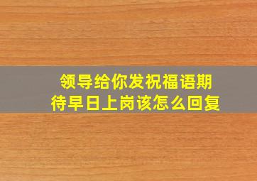 领导给你发祝福语期待早日上岗该怎么回复