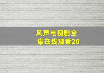 风声电视剧全集在线观看20