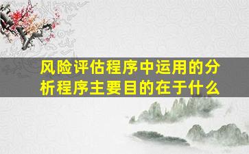 风险评估程序中运用的分析程序主要目的在于什么