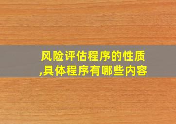 风险评估程序的性质,具体程序有哪些内容