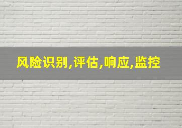 风险识别,评估,响应,监控