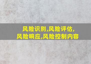 风险识别,风险评估,风险响应,风险控制内容