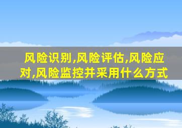 风险识别,风险评估,风险应对,风险监控并采用什么方式