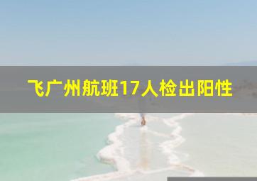 飞广州航班17人检出阳性