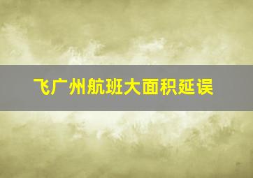 飞广州航班大面积延误