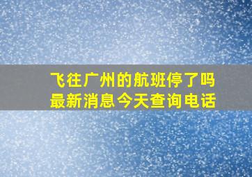 飞往广州的航班停了吗最新消息今天查询电话