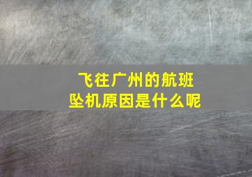 飞往广州的航班坠机原因是什么呢