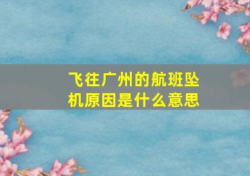 飞往广州的航班坠机原因是什么意思