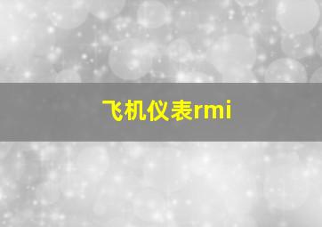 飞机仪表rmi