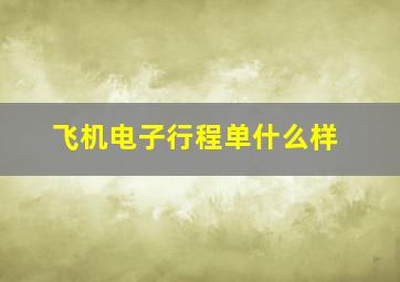 飞机电子行程单什么样