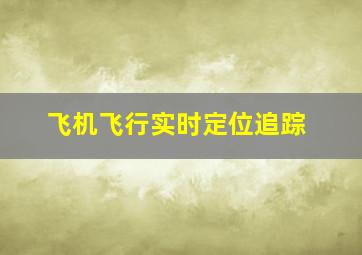 飞机飞行实时定位追踪