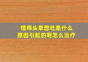 饿得头晕想吐是什么原因引起的呢怎么治疗