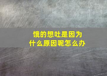 饿的想吐是因为什么原因呢怎么办