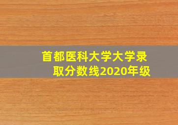 首都医科大学大学录取分数线2020年级