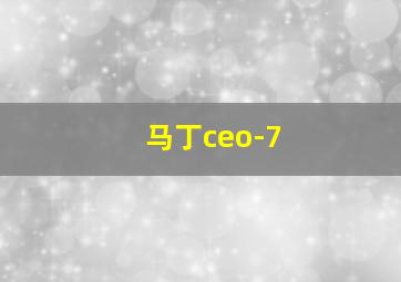 马丁ceo-7