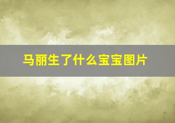 马丽生了什么宝宝图片