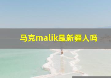 马克malik是新疆人吗