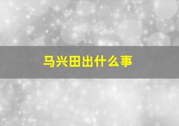 马兴田出什么事