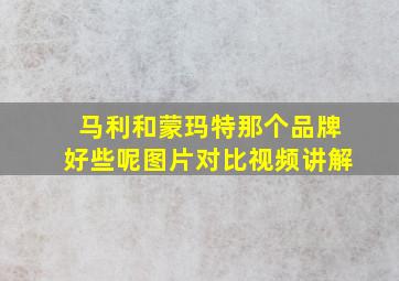 马利和蒙玛特那个品牌好些呢图片对比视频讲解