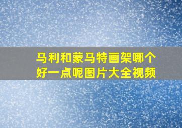 马利和蒙马特画架哪个好一点呢图片大全视频