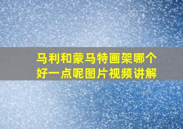 马利和蒙马特画架哪个好一点呢图片视频讲解