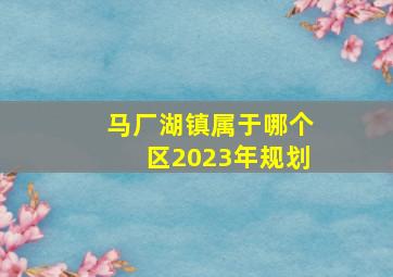 马厂湖镇属于哪个区2023年规划