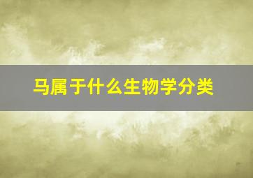 马属于什么生物学分类