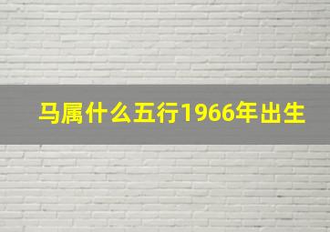 马属什么五行1966年出生