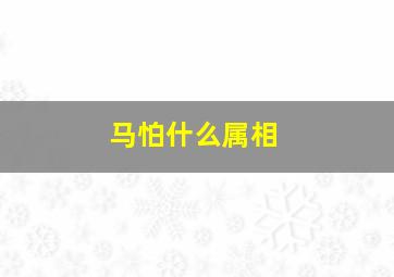 马怕什么属相