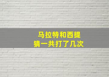 马拉特和西提猜一共打了几次