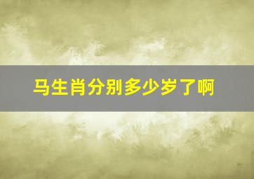 马生肖分别多少岁了啊