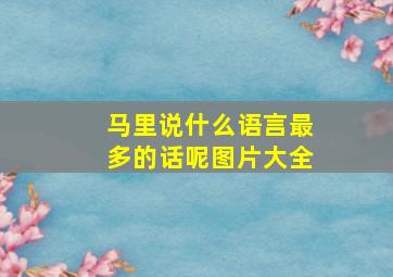 马里说什么语言最多的话呢图片大全