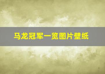 马龙冠军一览图片壁纸