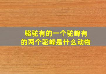 骆驼有的一个驼峰有的两个驼峰是什么动物