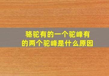 骆驼有的一个驼峰有的两个驼峰是什么原因