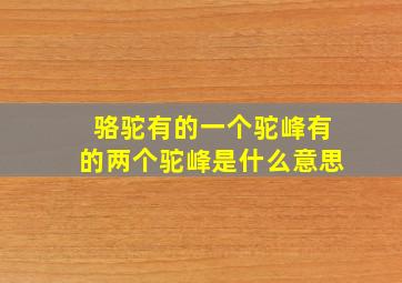 骆驼有的一个驼峰有的两个驼峰是什么意思