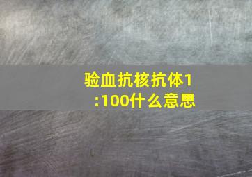 验血抗核抗体1:100什么意思