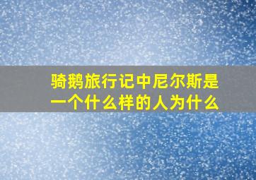 骑鹅旅行记中尼尔斯是一个什么样的人为什么