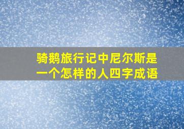 骑鹅旅行记中尼尔斯是一个怎样的人四字成语