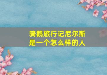 骑鹅旅行记尼尔斯是一个怎么样的人