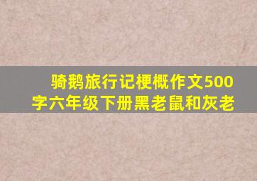 骑鹅旅行记梗概作文500字六年级下册黑老鼠和灰老