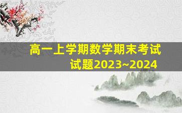 高一上学期数学期末考试试题2023~2024