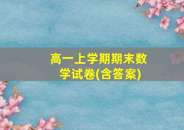 高一上学期期末数学试卷(含答案)