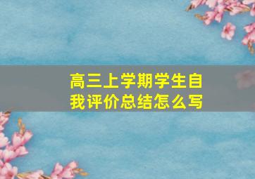 高三上学期学生自我评价总结怎么写