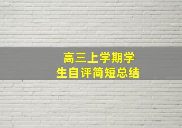 高三上学期学生自评简短总结