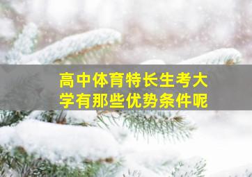 高中体育特长生考大学有那些优势条件呢