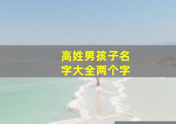 高姓男孩子名字大全两个字