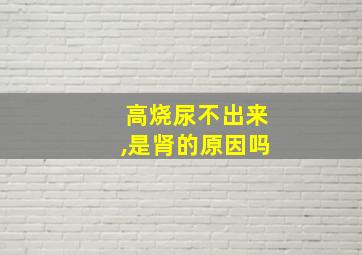 高烧尿不出来,是肾的原因吗