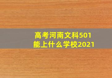 高考河南文科501能上什么学校2021