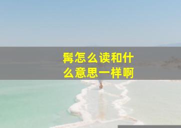 髯怎么读和什么意思一样啊